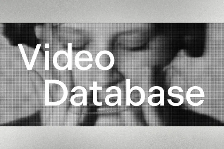 VideoDatabase