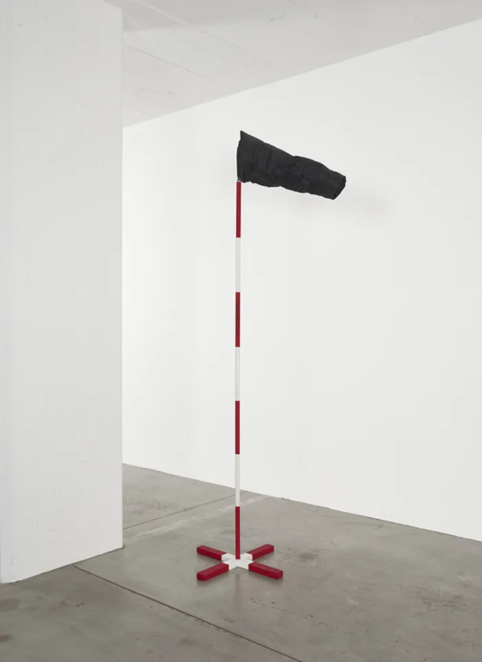 Image: Thomas Schunke, La Bise noire, 2014, Collection d'art contemporain de la Ville de Genève (FMAC).